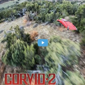 CORVID 2